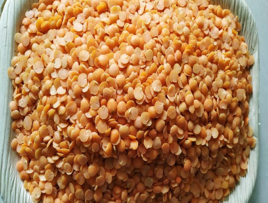 Split dried red lentils Supplier ,Exporter in India