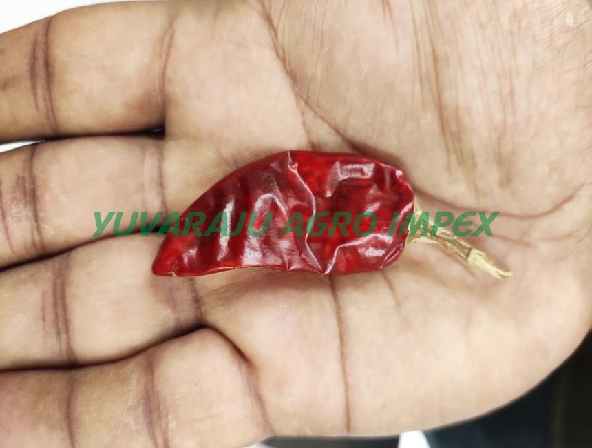 Bullet Chile Peppers Information and Facts